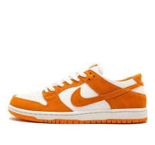 Nike Zoom Dunk Low Pro SB Circuit (854866-881)