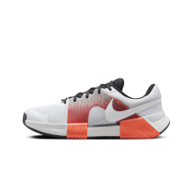 Nike Zoom Premium (FQ7725-002) in grau