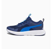 PUMA Evolve Run Mesh Teenager (386238_09)