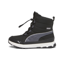 PUMA Evolve (392644/001)