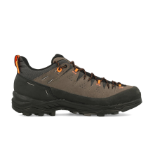 Salewa ALP Trainer 2 (61402-7953)