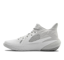 Under Armour HOVR Havoc 3 Grey Metallic Silver (3023088-102)