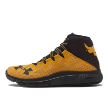 Under Armour Project Rock Delta Steeltown Gold (3021055 701)