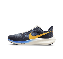 Nike Air Zoom Pegasus 39 Premium (DO9580-400)