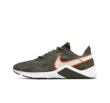Nike Legend Essential 2 (CQ9356-300)