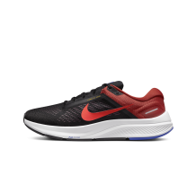 Nike Air Zoom Structure 24 (DA8535-006)