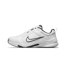 Nike Defy All Day (DJ1196-102)