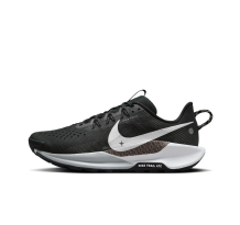 Nike Pegasus Trail 5 (DV3864-001)