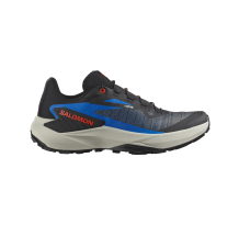 Salomon Genesis (L47807700)