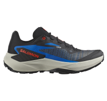 Salomon Genesis (L47807700)