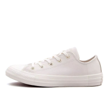 Converse Chuck Taylor All Star Low Blocked Nubuck (159528C)