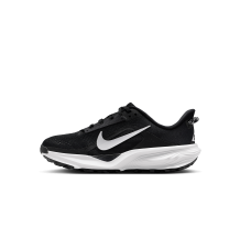 Nike ACG Pegasus Trail (IH2305-001)