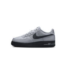 Nike Air Force 1 Low (HQ3807-002) in grau