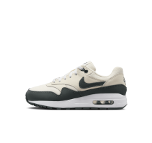 Nike Air Max 1 (DZ3307-113) in weiss