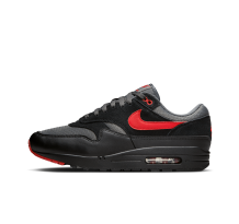 Nike Air Max (FZ5808008)