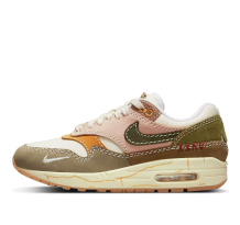 Nike Air Max 1 Premium Wabi Sabi (DQ8656-133)