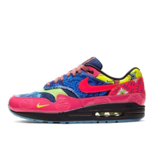 Nike Air Max 1 Premium EP Longevity (CU8861-460)