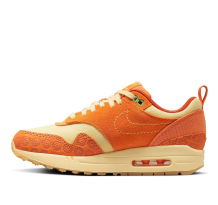 Nike Air Max 1 Somos Familia (DZ5352 847)