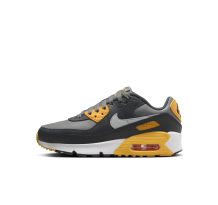 Nike Air Max 90 (HF6358-004) in grau