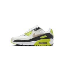 Nike Air Max 90 (HF6358-103)