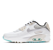 Nike Air Max 90 SE 2 GS Netted Heel (DB4187-100)