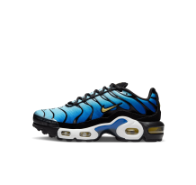 Nike Air Max Plus (CD0609-032)