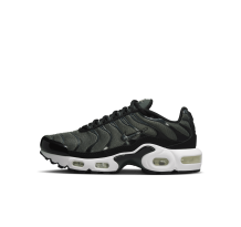 Nike Air Max Plus (CD0609-302) in grün