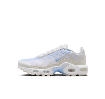 Nike Air Max Plus (CD0609-411)