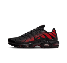 Nike Air Max Plus (DM0032-021)