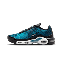 Nike Air Max Plus (HV6355-001)