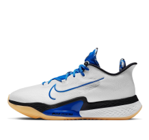 Nike Air Zoom BB NXT EP Hyper Royal (DB9991-100)
