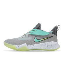 Nike Zoom Flight 2 Smoke Lemon Twist GS (DB6708-001)