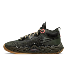 Nike Air Zoom GT Run EP (DA7920 300)