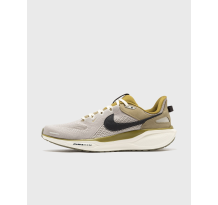 Nike Air Zoom Pegasus 41 SP (HQ6025-001)