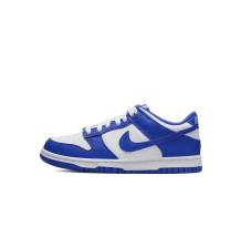 Nike Dunk Low GS (DV7067-400) in blau