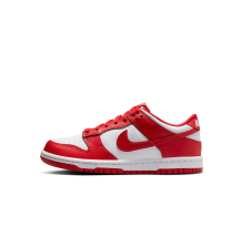 Nike Dunk Low (FB9109-119)