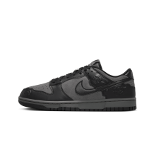 Nike Dunk Low (HF1986-001)