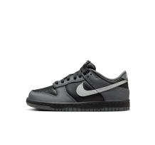 Nike Dunk Low GS (IM6028-010)