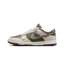 Nike Dunk Low (HV5980 231)