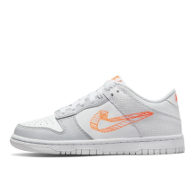 Nike Dunk Low SE GS Swoosh (DR0171-100)