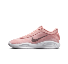 Nike Academy (FJ7791-601) in pink