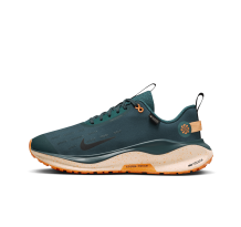 Nike Infinity Run 4 GORE TEX (FB2204-300) in grün
