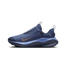 Nike InfinityRN 4 GORE TEX (HQ0264-401)