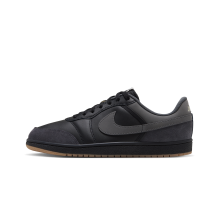 Jordan Air Skyline Low LE (IQ6425-002)