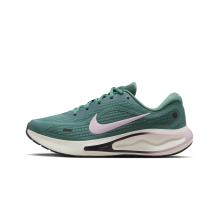 Nike Journey Run Stra (FJ7765-301)