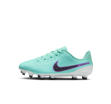 Nike Tiempo Legend MG 10 Academy FG (DV4348-300)