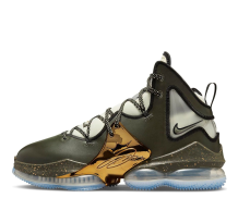 Nike LeBron 19 Chosen 1 All star (DQ7548-301)