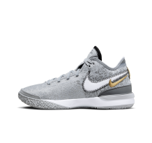 Nike Zoom LeBron NXXT Gen (DR8784-004)