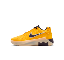 Nike LeBron Witness 9 (HV2270-700)