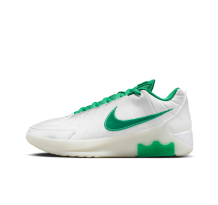 Nike LeBron (HQ8034-101)